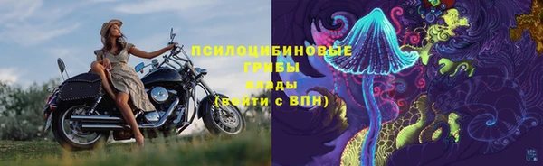 экстази Гусев