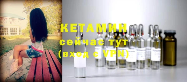 хмурый Гусь-Хрустальный