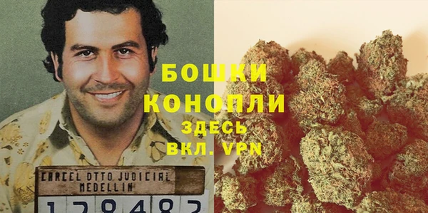 экстази Гусев