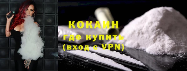 хмурый Гусь-Хрустальный