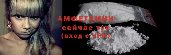 хмурый Гусь-Хрустальный