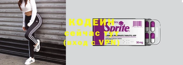 хмурый Гусь-Хрустальный