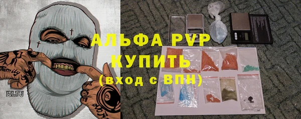 хмурый Гусь-Хрустальный