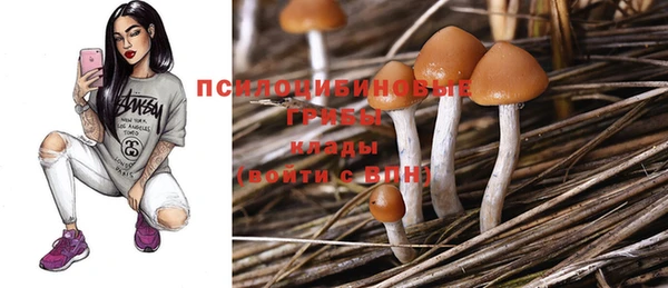 метамфетамин Анива