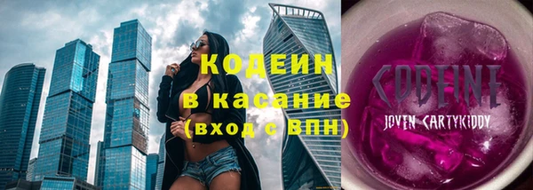 хмурый Гусь-Хрустальный