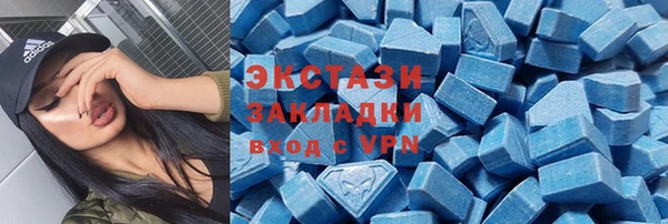 хмурый Гусь-Хрустальный